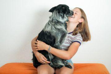 El aporte de los animales a la salud mental: Nuevos terapeutas