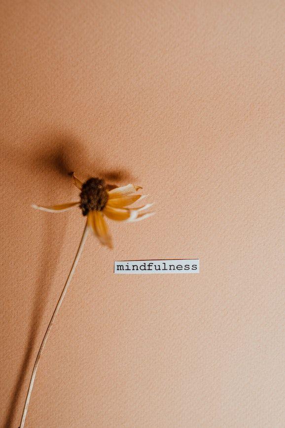 mindfulness