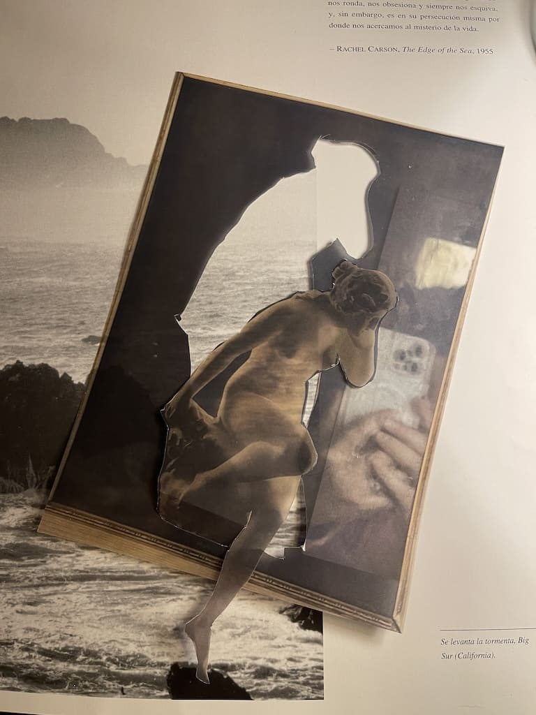 Trauma y acontecimiento traumático.